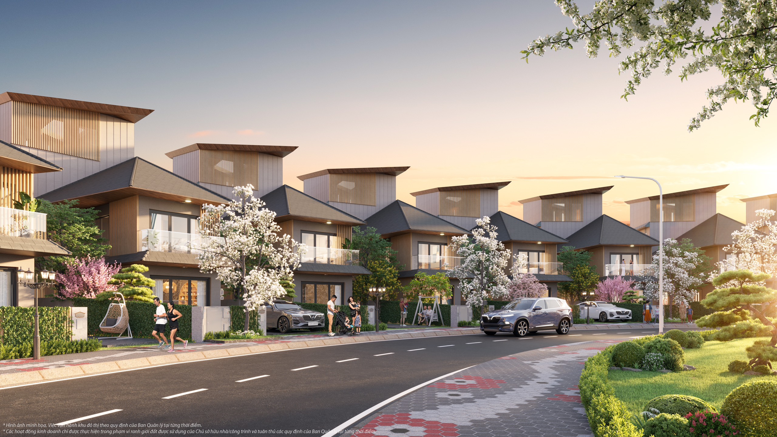 z5286352444696_adaed813624009aed27e74338740b732